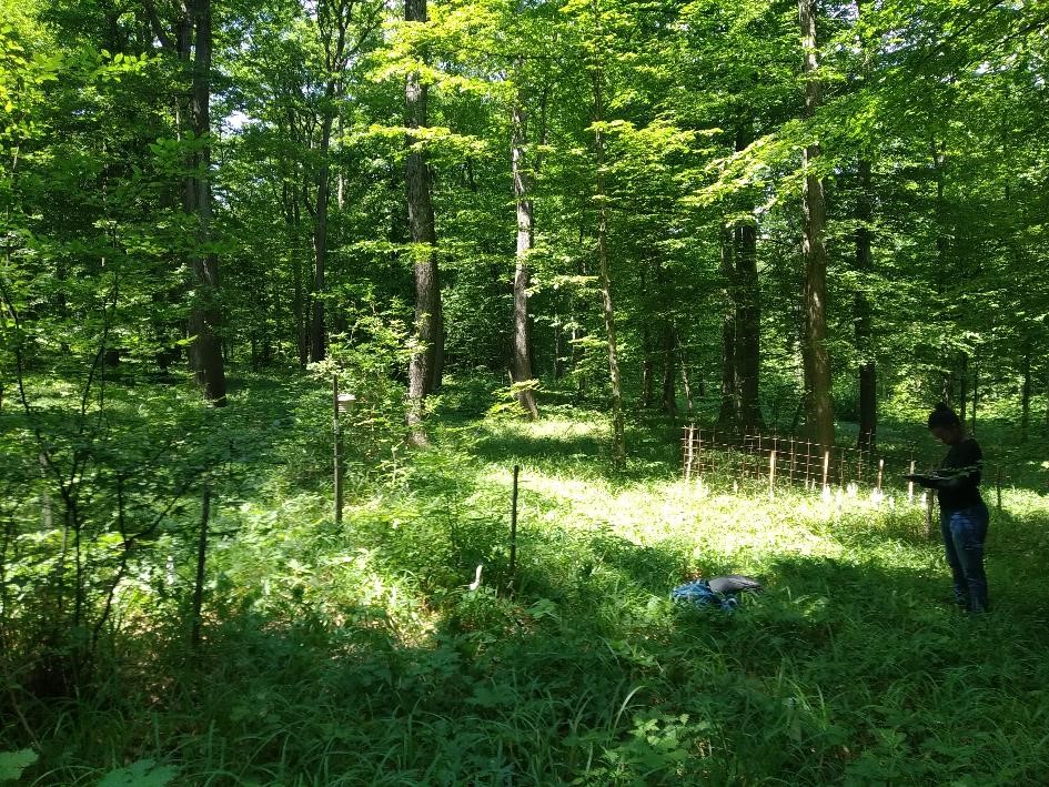 fieldwork