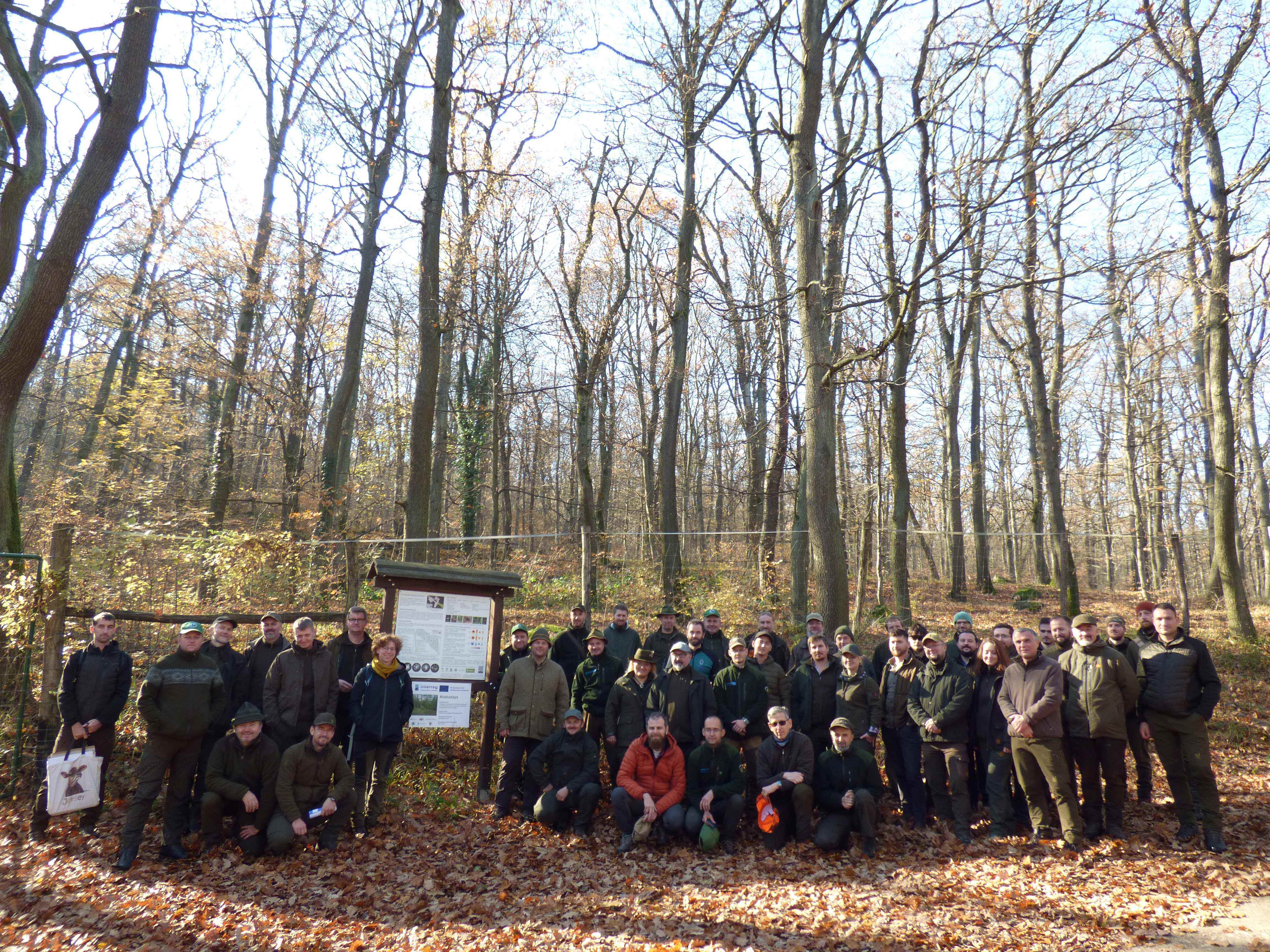 Pilis Gap Experiment