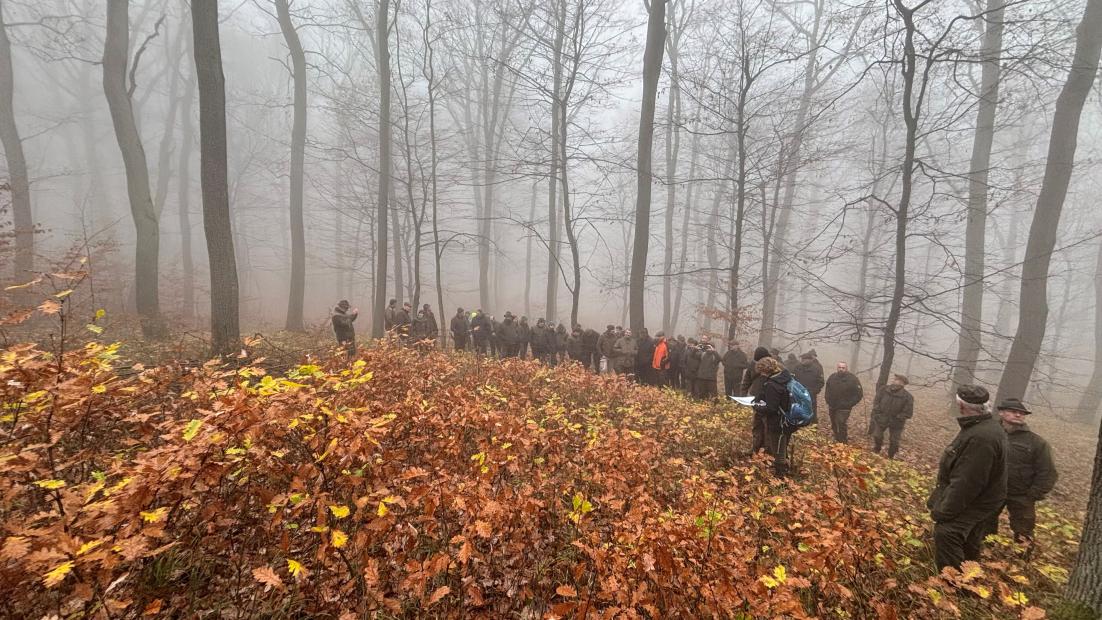 A képzés résztvevői a Pilis Lék Kísérletben Tinya Flóra és Ódor Péter ökológusok vezetésével. (fotó Csépányi P.) 
